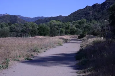 DSC_2062 (Large).JPG